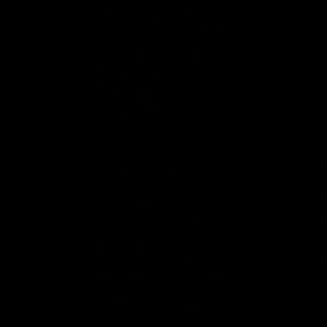 Meet your Posher, Bailee